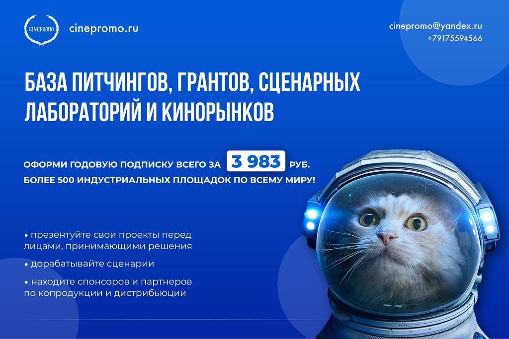 картинка 4