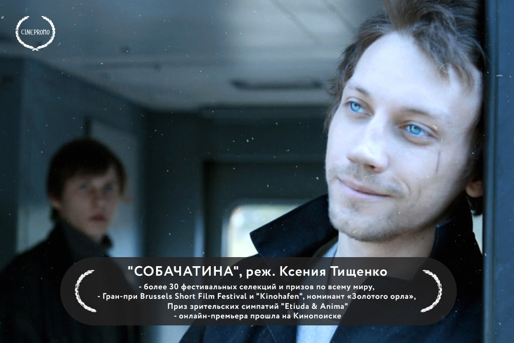 картинка 19